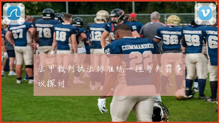 法甲裁判执法标准统一性与判罚争议探讨