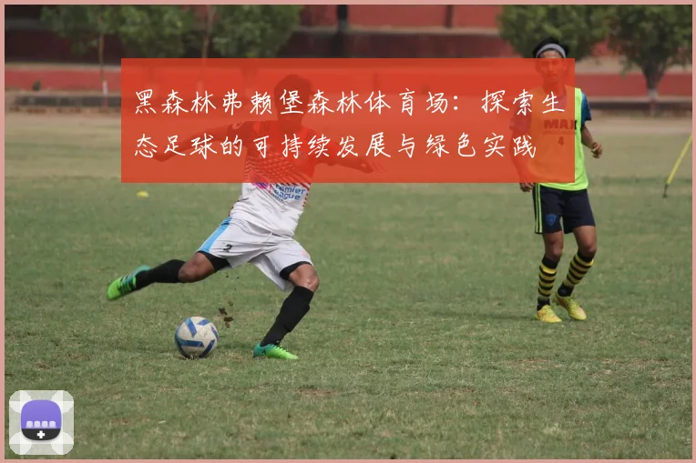 黑森林弗赖堡森林体育场：探索生态足球的可持续发展与绿色实践
