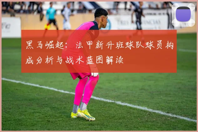 黑马崛起：法甲新升班球队球员构成分析与战术蓝图解读