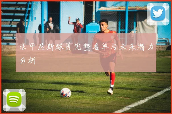 法甲尼斯球员完整名单与未来潜力分析